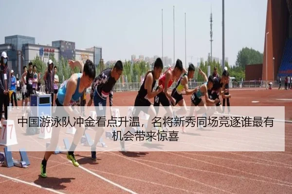 img_1782580147554_24_2_130.jpg